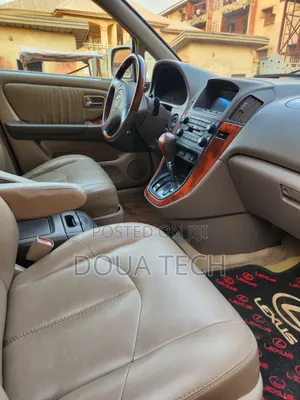 Lexus RX 2003 Silver