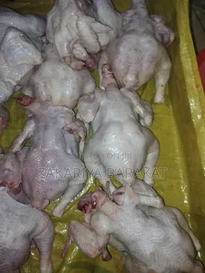 Live Broilers and Dressed as Well