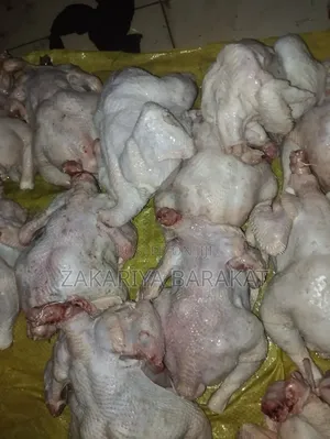 Live Broilers and Dressed as Well