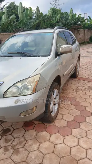 Lexus RX 350 2008 Silver