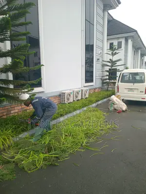 Tontex Gardens - Garden Maintenance