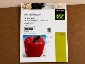 Clair F1 Bell Pepper
