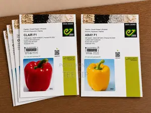 Clair F1 Bell Pepper