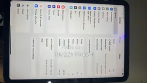 Apple iPad mini 6 64 GB Gray
