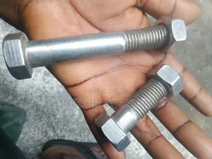 M20x120 Bolt and Nut S/S