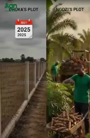 Invest in Farm Estate That Pays You Yearly While You Still Own D Land