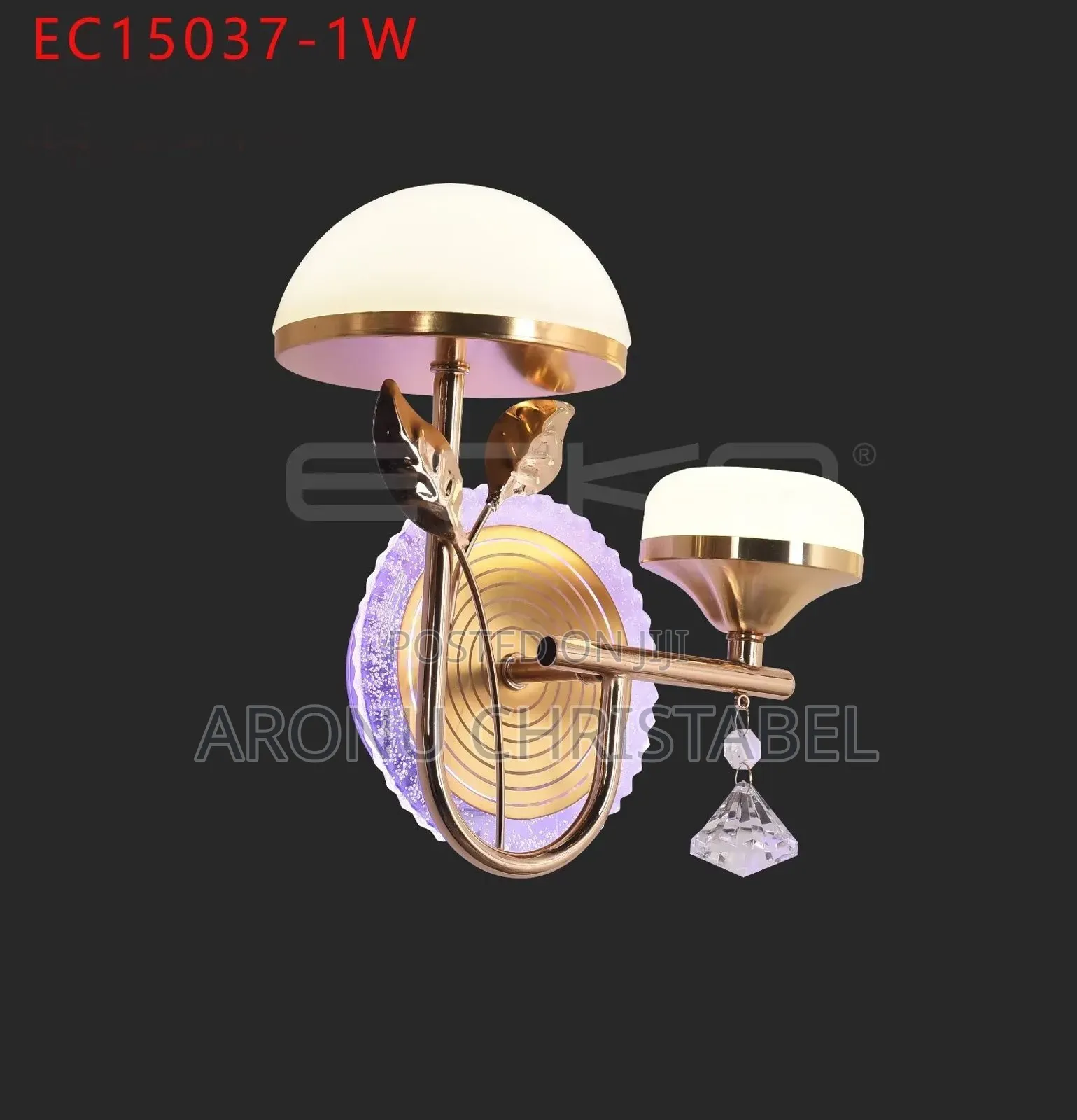 Chandelier and Wall Brackets