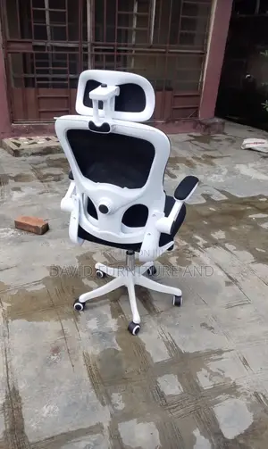 Sleek Ergonomic Chair