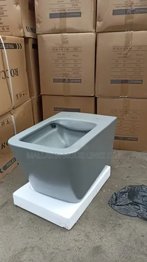 Gray Wall Hung Toilet Wc
