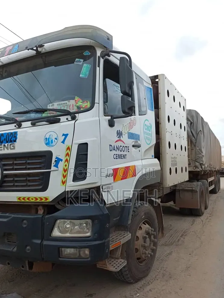Dangote Cement and Bua Cement