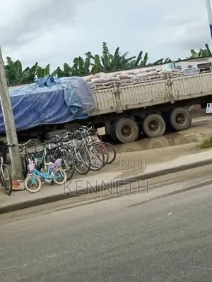 Dangote Cement and Bua Cement