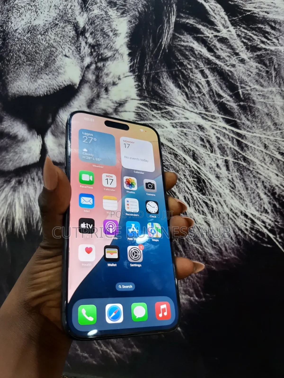 Apple iPhone 15 Pro Max 256 GB Black
