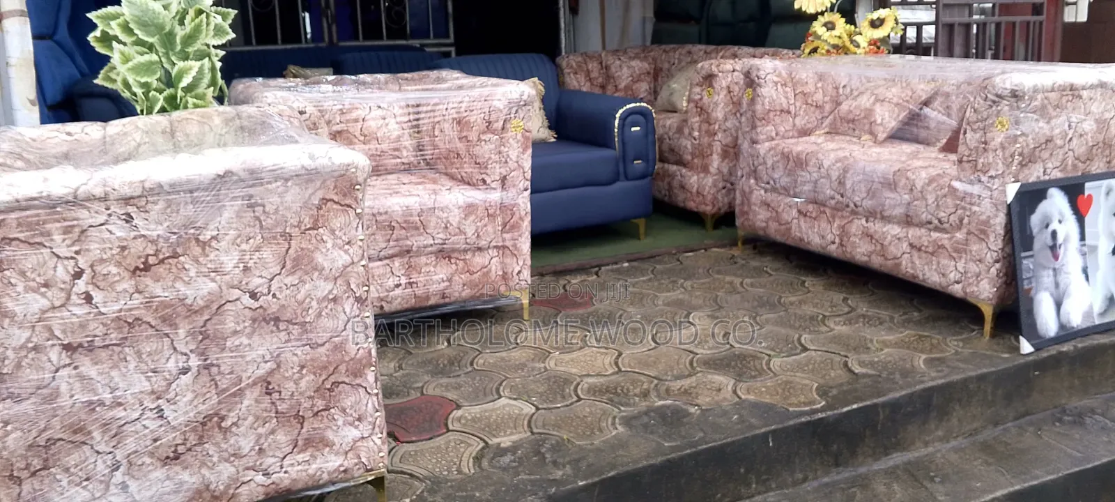 A Beautiful Couch