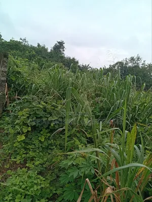 Landforsale