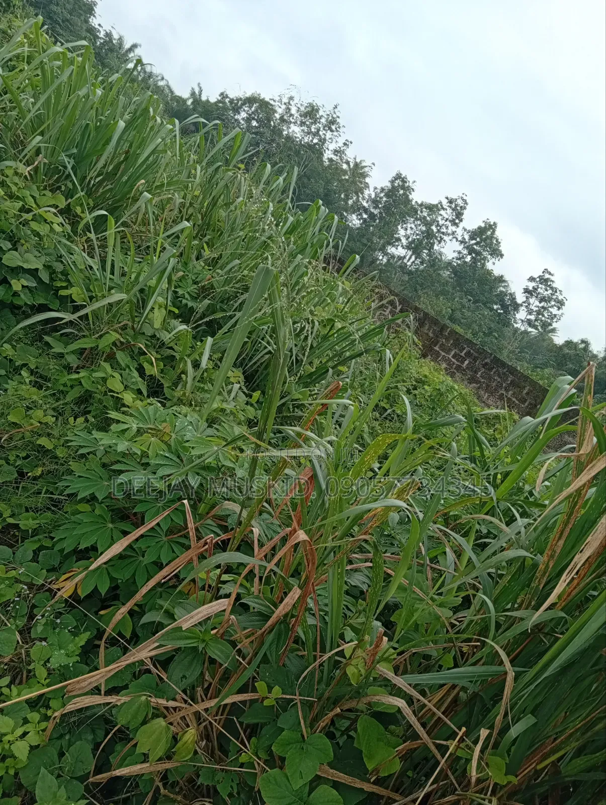 Landforsale