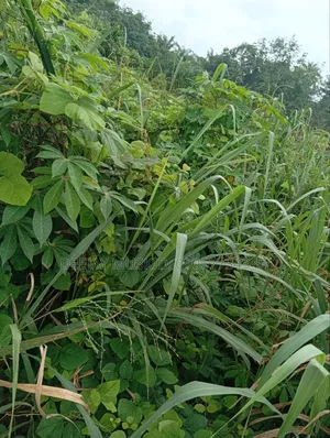 Landforsale