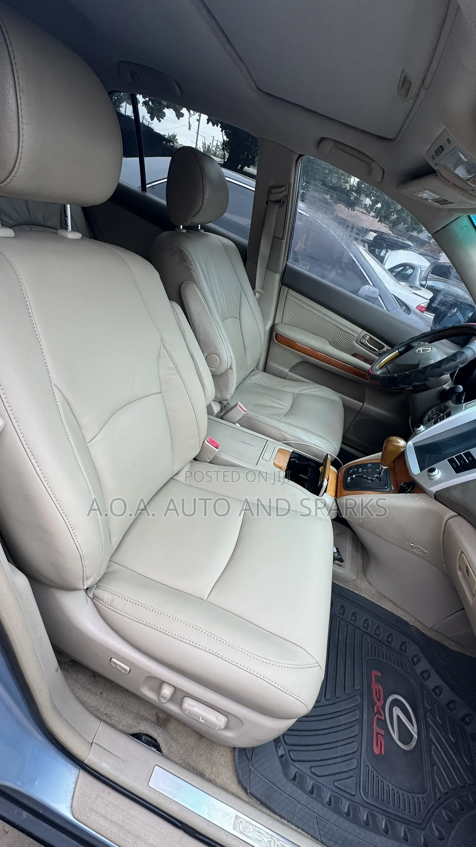 Lexus RX 2009 Blue