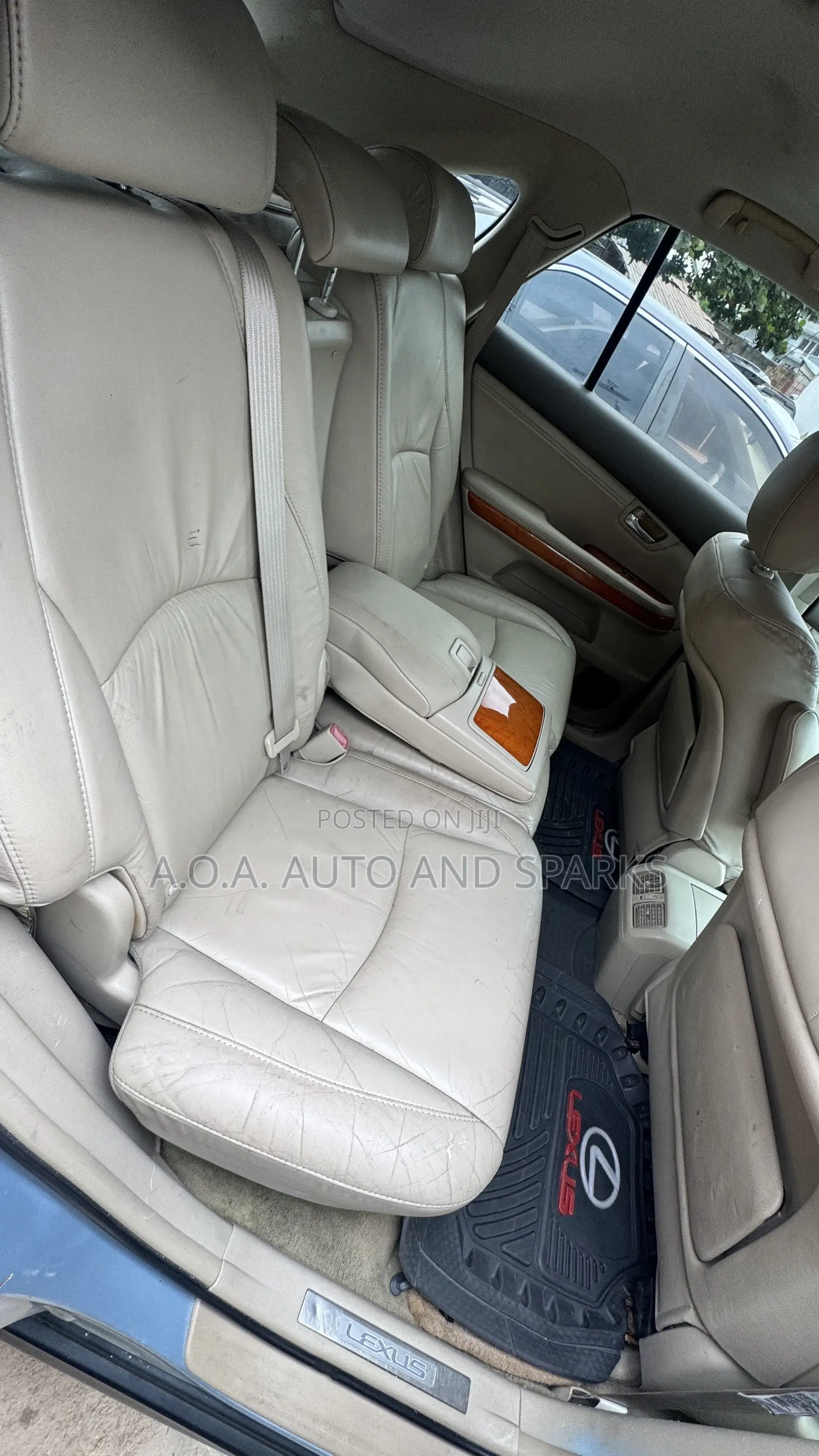 Lexus RX 2009 Blue