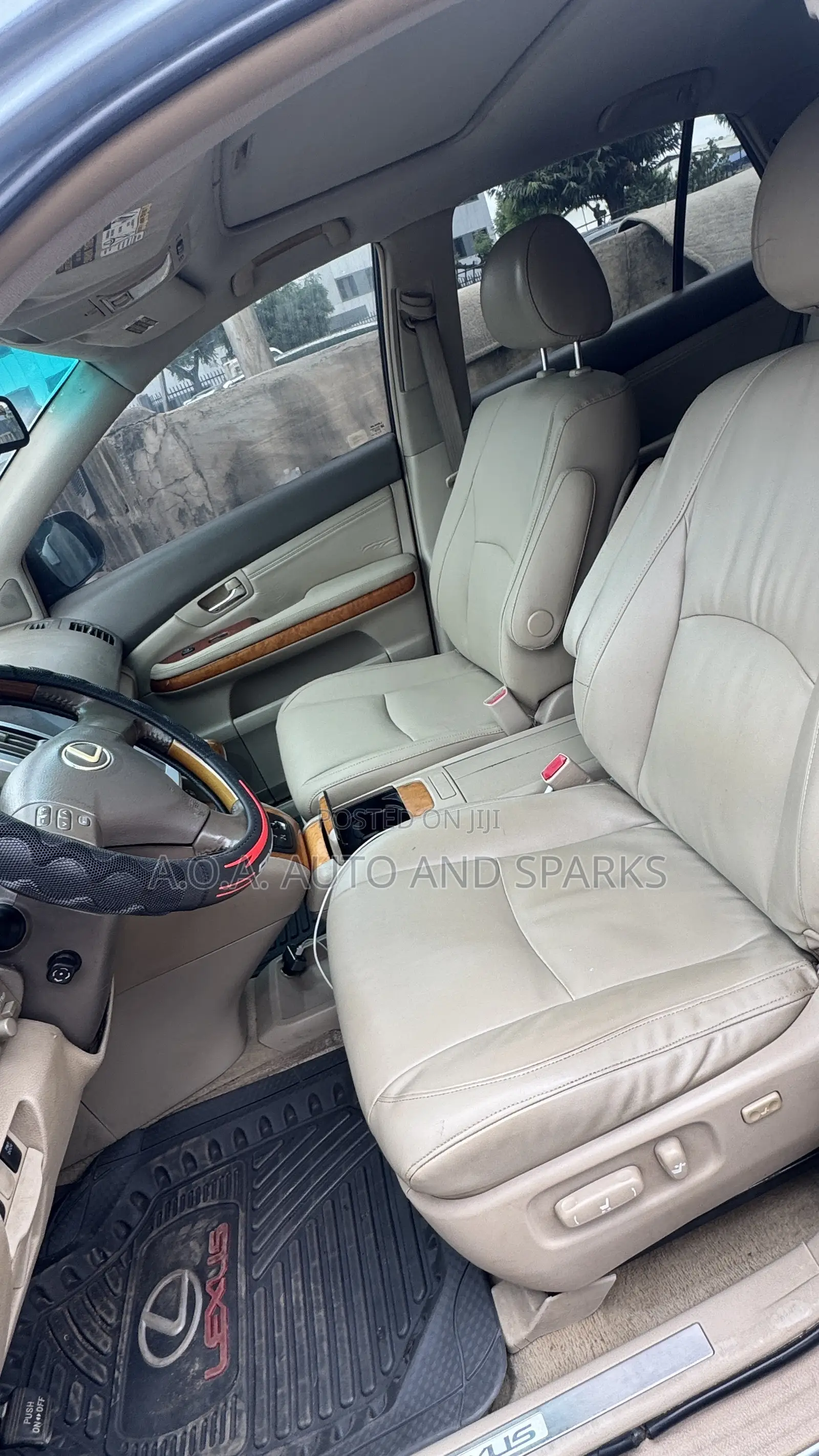 Lexus RX 2009 Blue