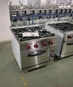 Four Burner Gas/Electric Cooker With Oven