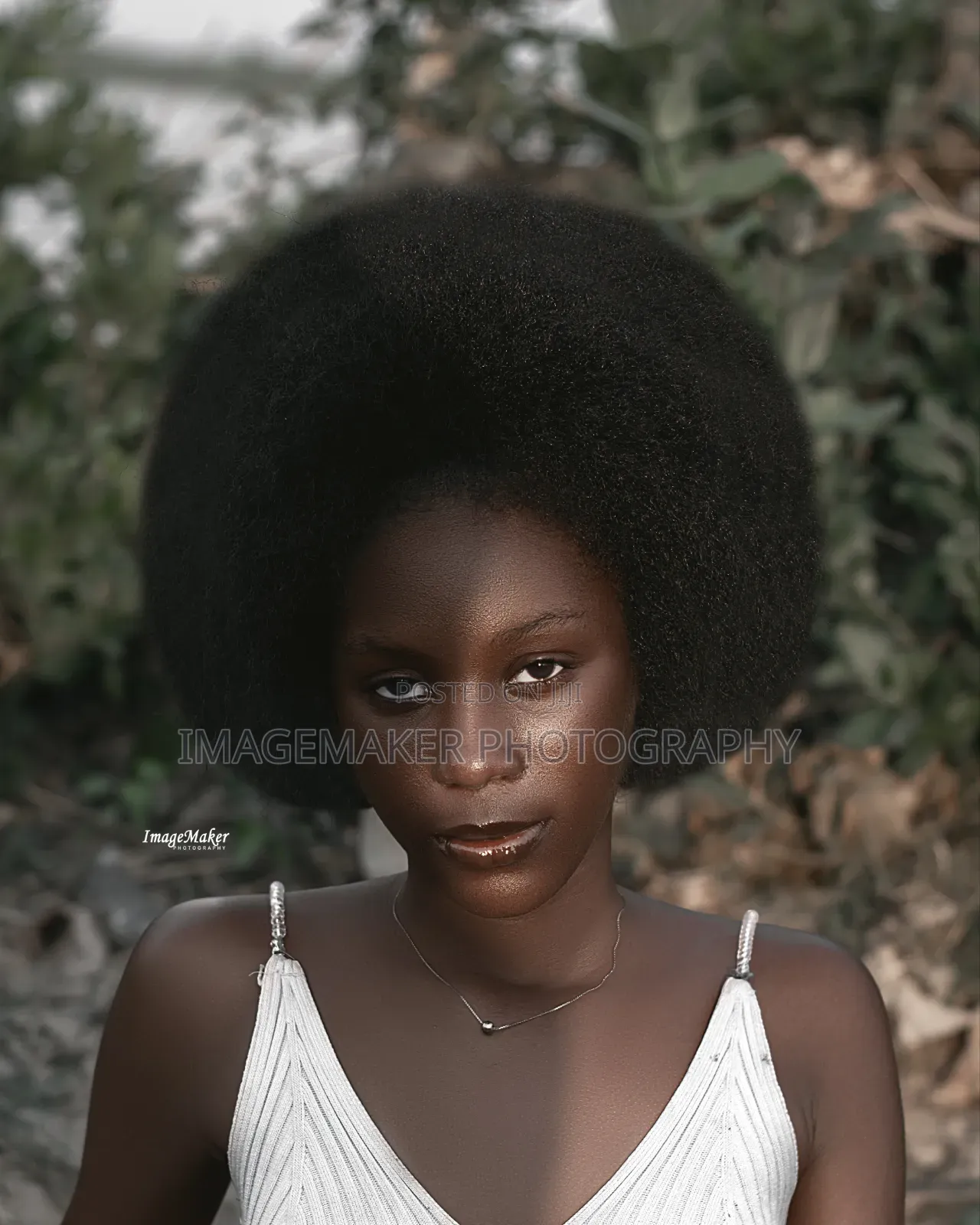 Photography