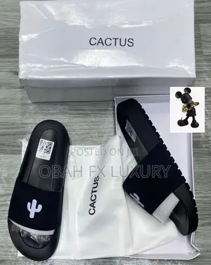 Cactus Slides Now Available in Store
