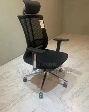 ExeExecutive Office Mesh Chair