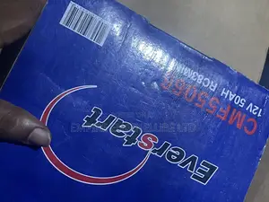 Everstart 12V—50AH