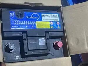Everstart 12V—50AH