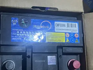 Everstart 12V—50AH