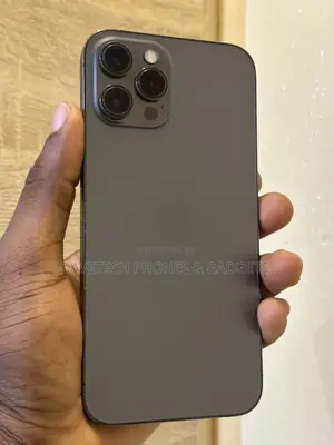 Apple iPhone 12 Pro Max 128 GB Gray