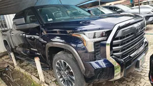 Toyota Tundra 2023 Blue