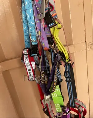 Variety Design Collars 2.5cm