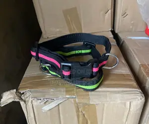 Unbranded Stripe Padded Collar 2.0cm
