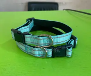 Reflective Padded Collar 2.0cm Medium