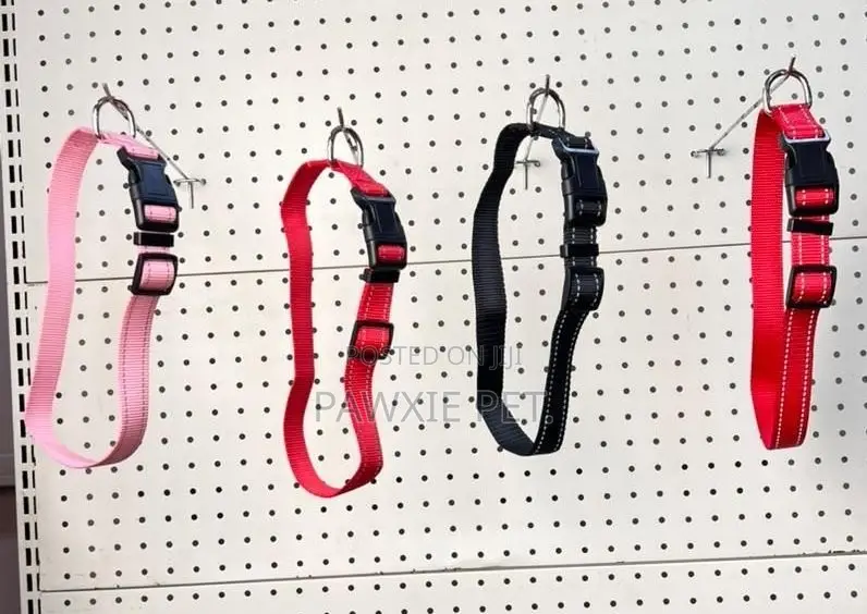 Reflective No Pull Padded Collar 2.6cm