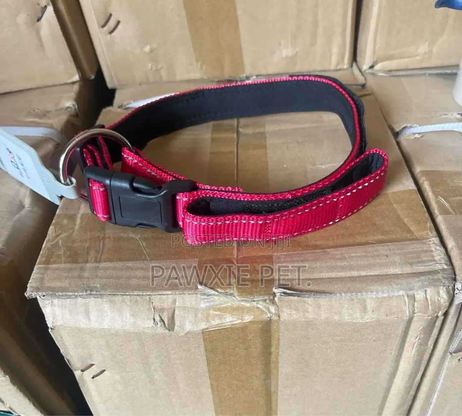 Reflective No Pull Padded Collar 2.6cm
