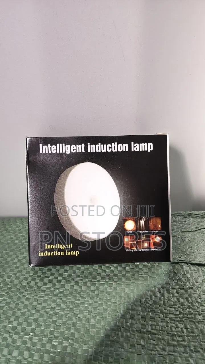 Rechargeable Intelligent Induction Lamp