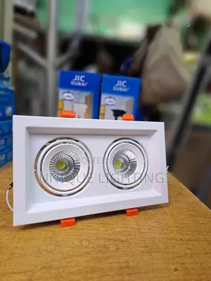 Double Ts Led Spot Light