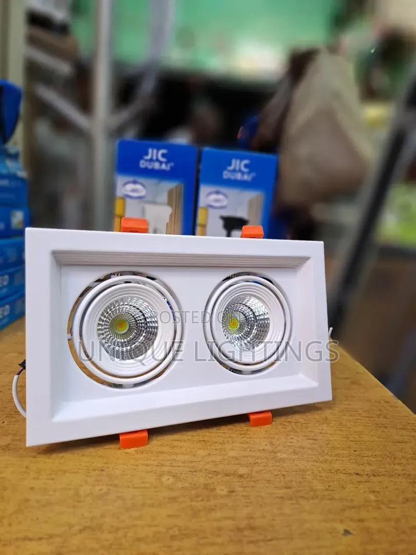 Double Ts Led Spot Light