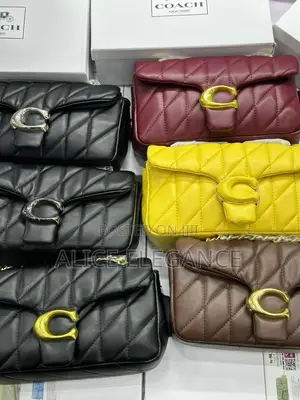 Luxury Coach Bag
