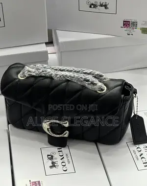 Luxury Coach Bag