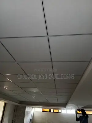 Suspended Ceiling