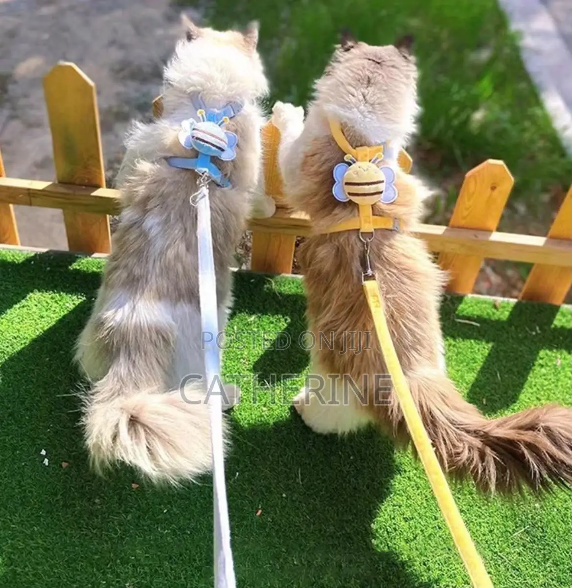 Cat Harness