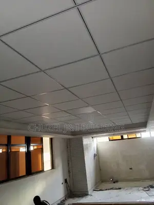 Suspended Ceiling Water and Fireproof