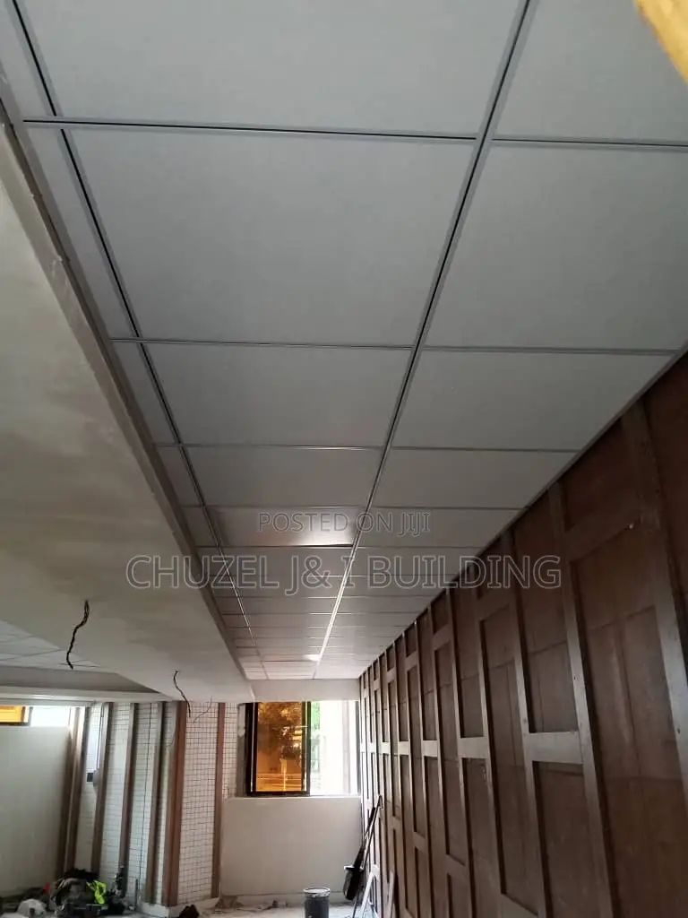 Suspended Ceiling Water and Fireproof