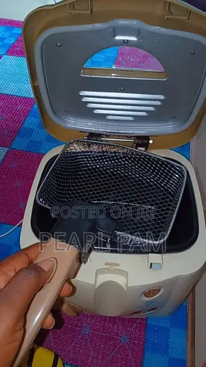 Clean Deep Fryer