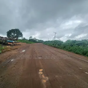30 Acres of Farm Land