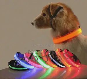 Peepke LED Collar 2.0 Small