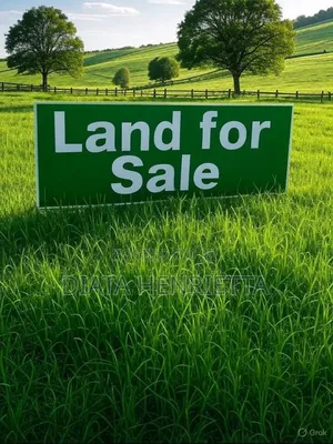 DDBA Housing and Prosperity